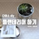 다이소 diy로 플랜테리어 하기 너무 쉽네