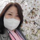 용정굴다리~동해초등학교 이미지