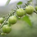 축복의땅에덴동산