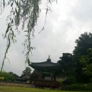 동보약국 이미지