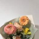 스펀슈가 이미지