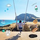 꽃 | 제주 성산일출봉 카페 해일리 카페 유채꽃 명소 후기