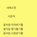 예수의성모