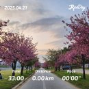 [2025] 수원 제 23회 경기마라톤 10km 후기 &amp; 나의 달리기에 대한 고찰,,?