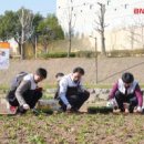 온천천일대7 이미지