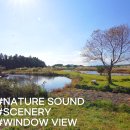 숲속풍경 이미지