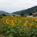 무촌마을 이미지