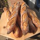 파리바게트 이미지