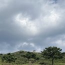 철쭉피는황매골마을 이미지