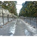 희망농원 이미지