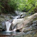 포천 자연과사람들 애견동반펜션 이미지