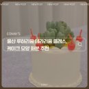 루하리움 | 울산 루하리움, 케이크 모양 화분 구매 후기