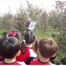 원호초등 병설 이미지