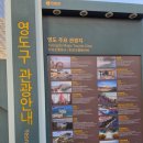 부산닭집 | 260517,18. 부산 영도 여행 늦은 후기.