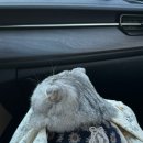 광양불고기(준서네) 이미지