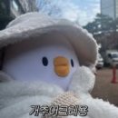 닭꼬얌