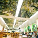 천장주유소 이미지