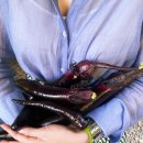 원두막 민박 이미지