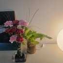 남원 카페추천 &lt;카페,조아&amp;햇살좋은날&gt; 솔직후기 앤 추천이야기+a🌺
