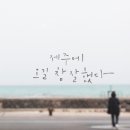 제주에오길잘했다