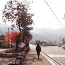 김삿갓면-31 이미지