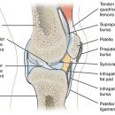 참벗한의원 이미지