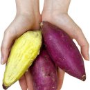 도시농장 이미지