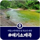 여행스케치펜션 | [가평 애기소계곡] 여행스케치펜션 앞 프라이빗 물놀이 명당 (2025)