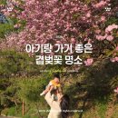 대학관 | 아기랑 가기 좋은 수원 용인 겹벚꽃 명소 | 경희대학교, 은성사