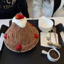 상어피시방 | [대학일지] 어 그래 나 이제 3학년인데 방학 때 놀기만 했어 I 겨울방학 순삭 후기