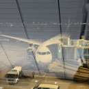 라구나호텔 | [일본 오키나와 여행] 아이와 가기 좋은 라구나가든호텔 숙박 후기