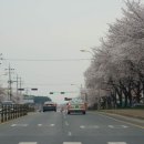 공설운동장 삼거리-좌 이미지