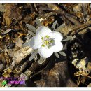 본토박이 이미지