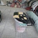 신세계종합정비 이미지