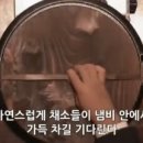 낭아래