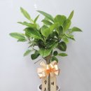 길음농장 이미지