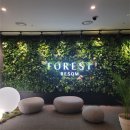 나인 | 제천 리솜 나이트스파 : 한 겨울 해브나인 스파 후기