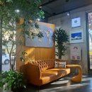 위그살롱 이미지