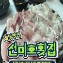 선미호횟집
