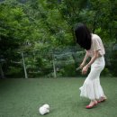 화이트포메라니안 이미지