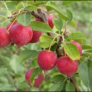 충주여자중학교 이미지