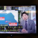 카멜리아 이미지