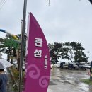 관성 | 경주 차박 관성 솔밭해변 강추 후기 노지캠핑장 글램핑평상 주차 가격