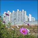 반곡동_반곡중학교앞 이미지