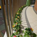 부천두리유치원 이미지