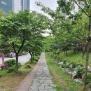 뽀독 | "부천 소사 카페 도로시" "애견카페 뽀독"