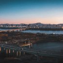 서울 티스토리