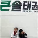 큰솔 태권도 이미지