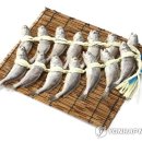 바다세상 이미지