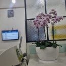 어뉴봄의원 이미지